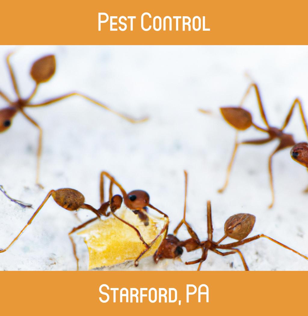 pest control in Starford Pennsylvania