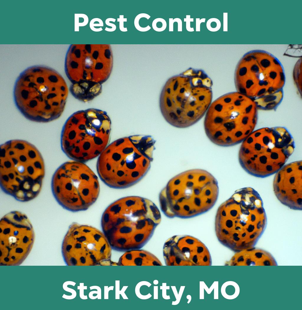 pest control in Stark City Missouri