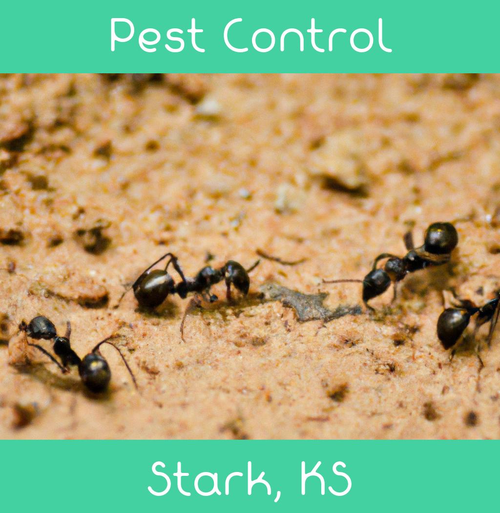 pest control in Stark Kansas