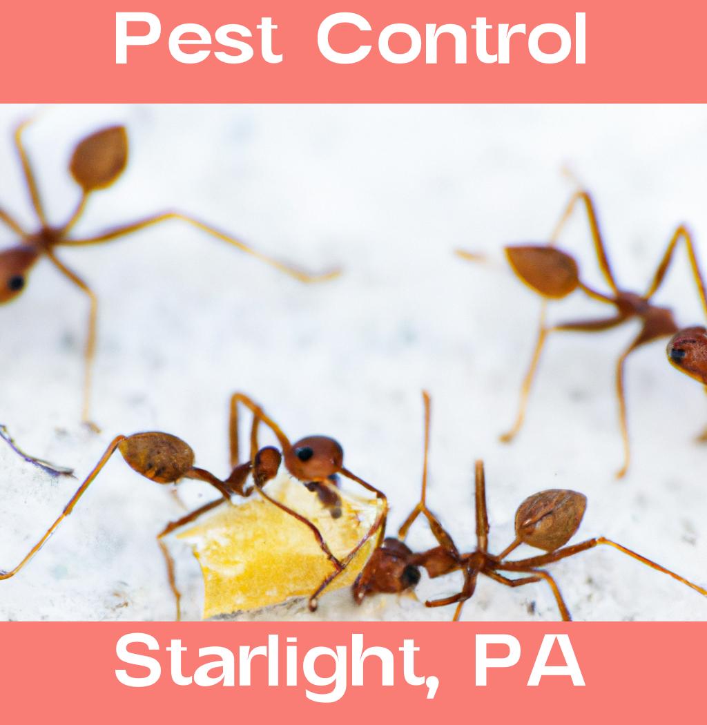 pest control in Starlight Pennsylvania