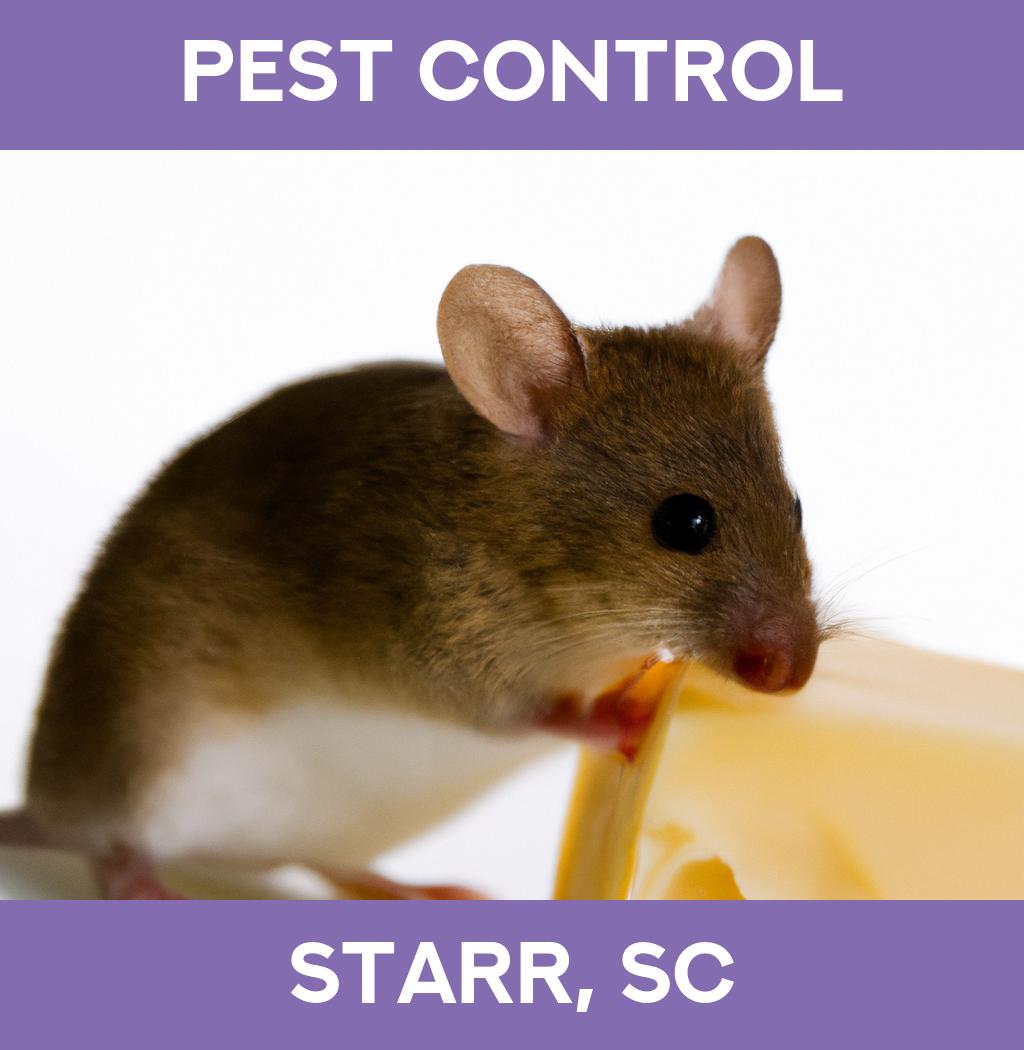pest control in Starr South Carolina