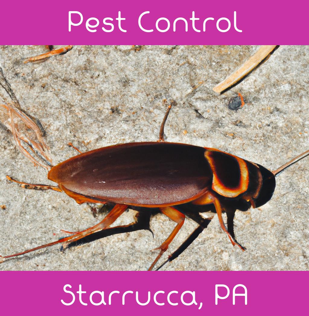 pest control in Starrucca Pennsylvania