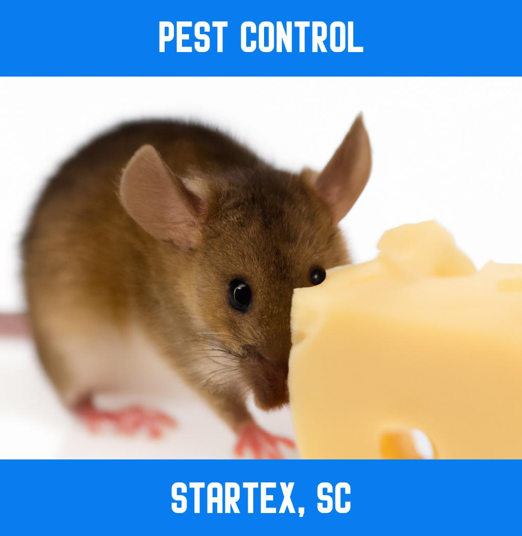pest control in Startex South Carolina