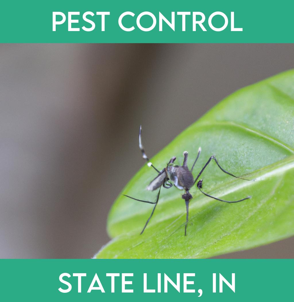pest control in State Line Indiana