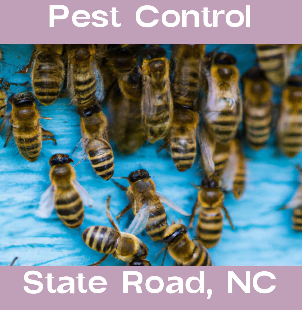 pest control in State Road North Carolina