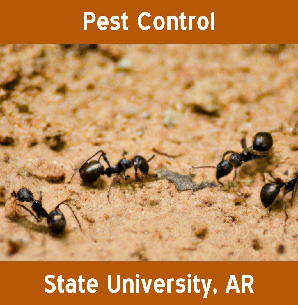 pest control in State University Arkansas