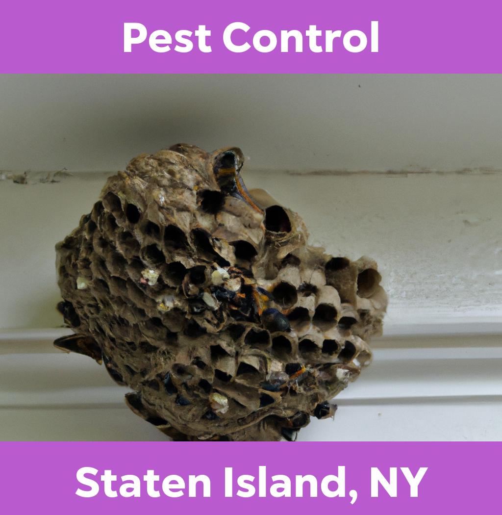 pest control in Staten Island New York