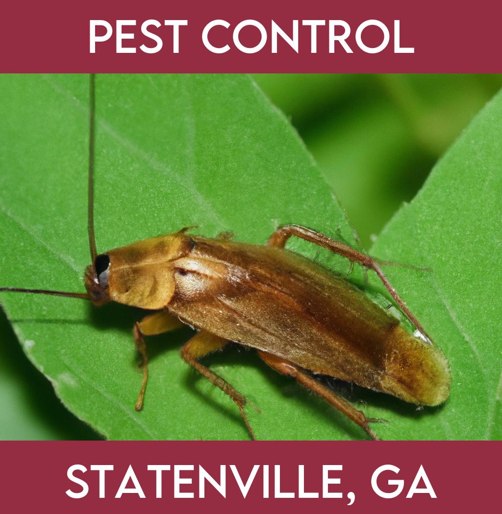 pest control in Statenville Georgia