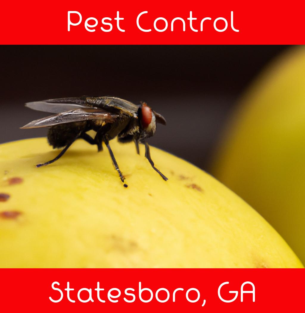 pest control in Statesboro Georgia