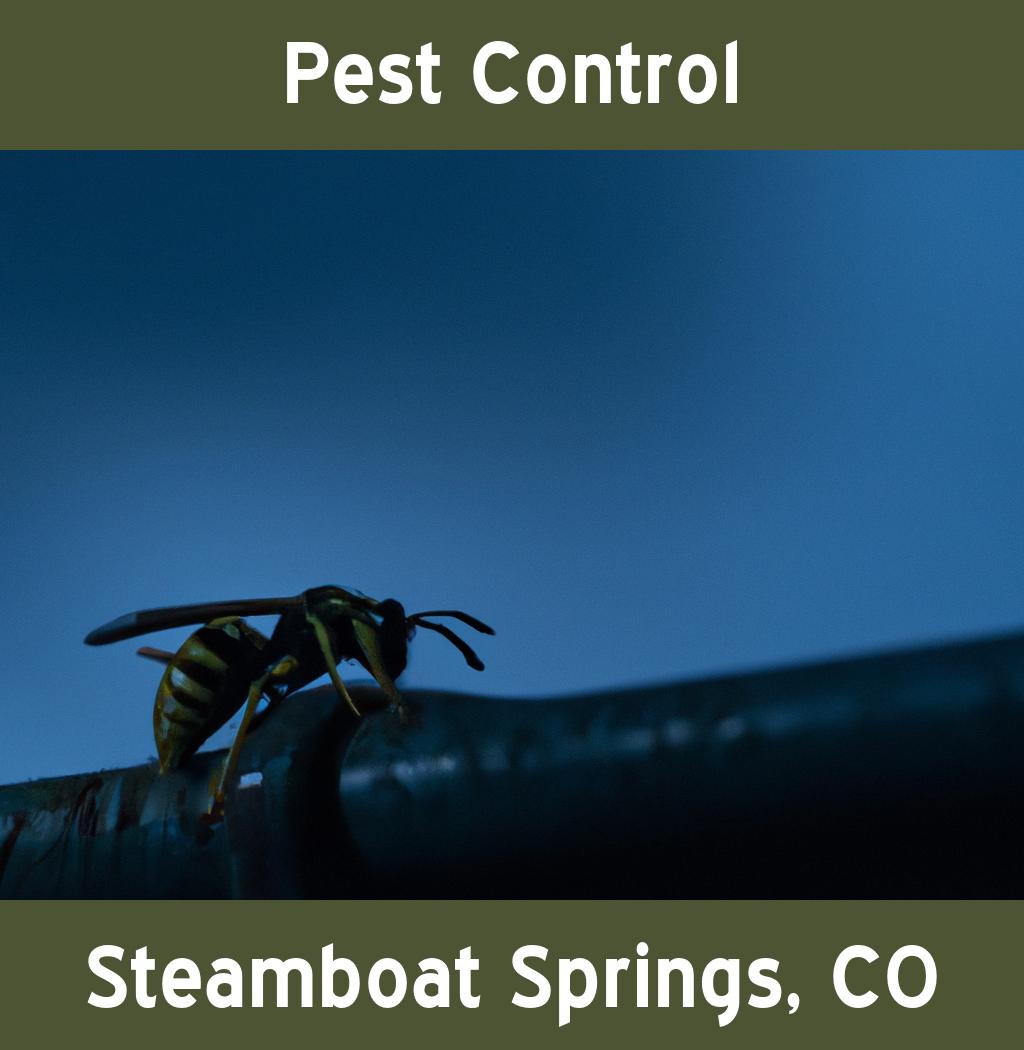 pest control in Steamboat Springs Colorado