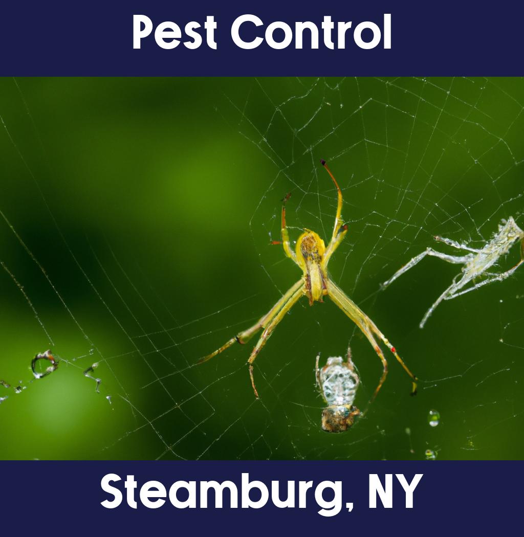 pest control in Steamburg New York
