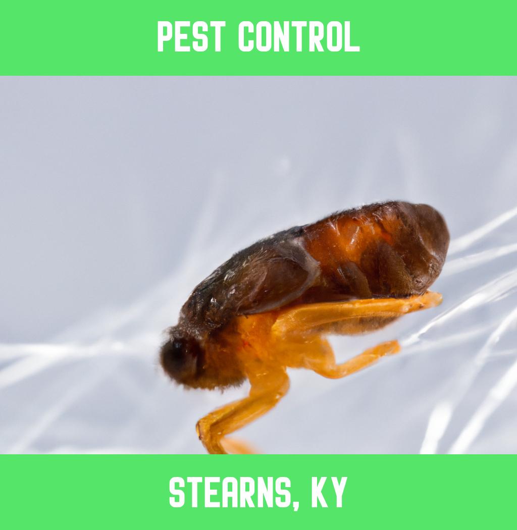 pest control in Stearns Kentucky