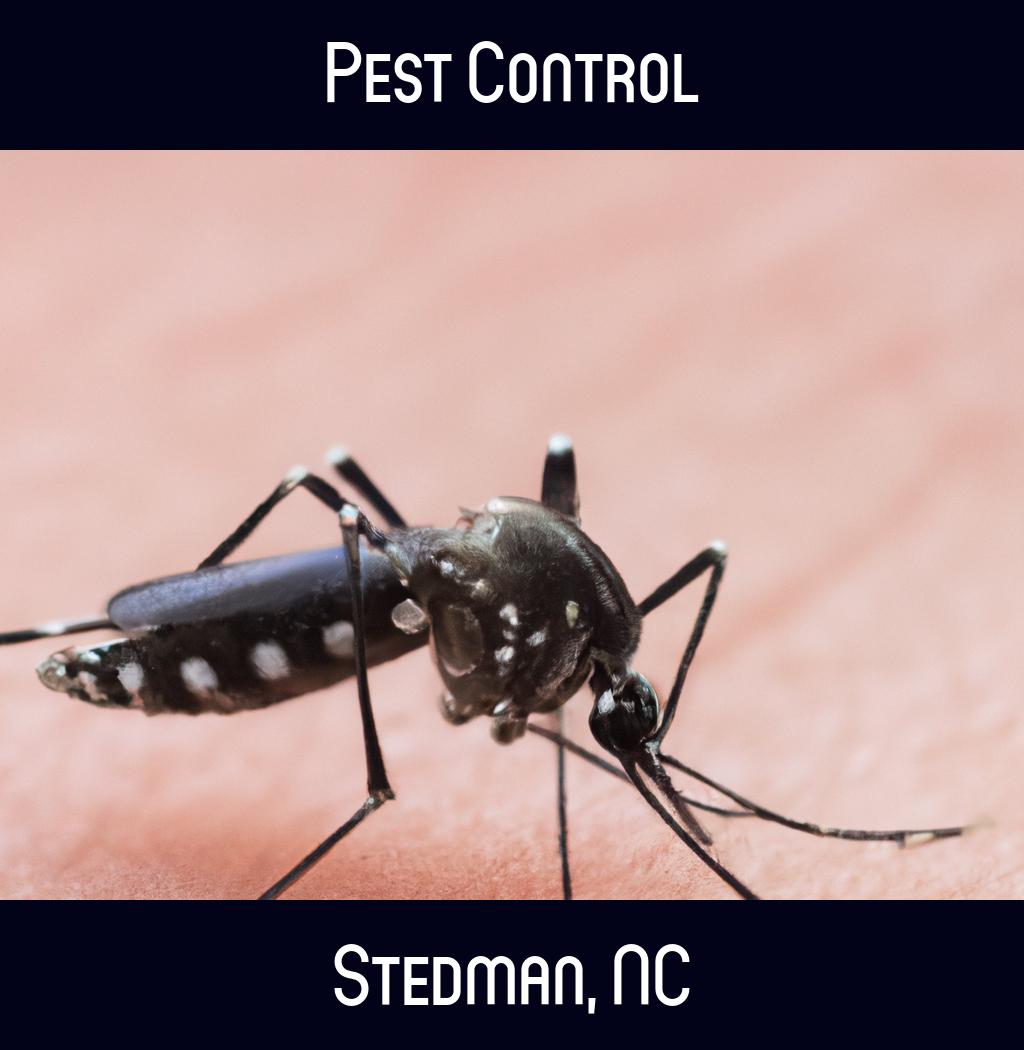 pest control in Stedman North Carolina