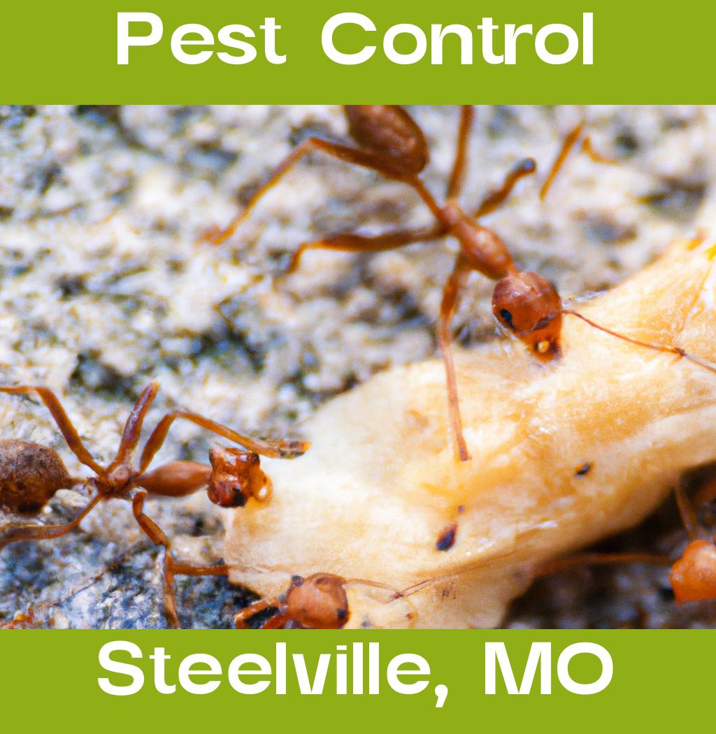 pest control in Steelville Missouri