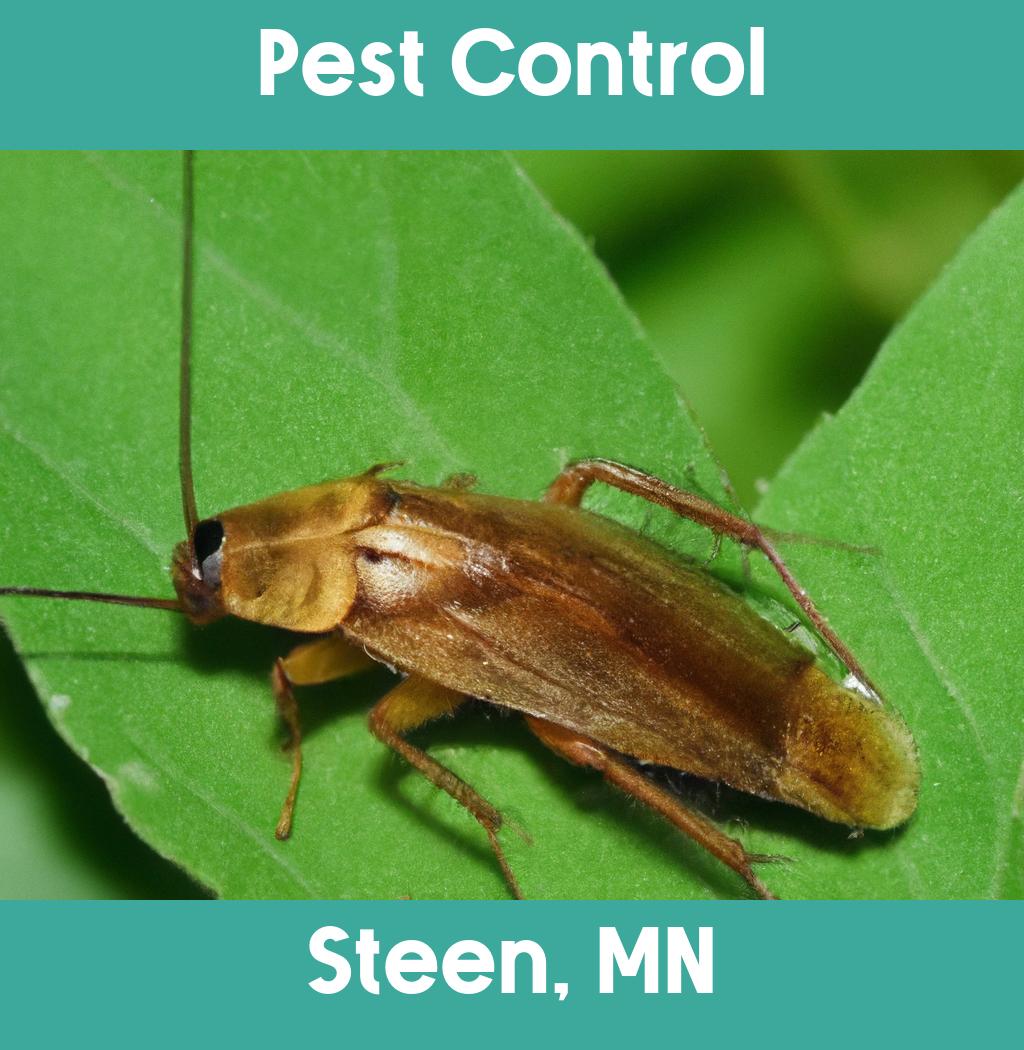 pest control in Steen Minnesota
