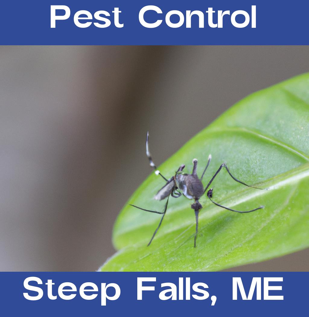 pest control in Steep Falls Maine