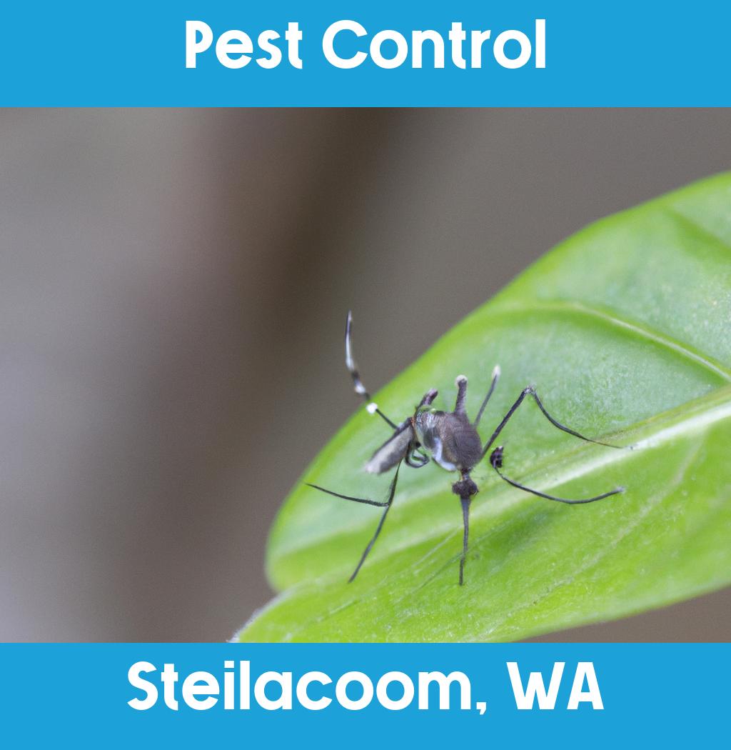 pest control in Steilacoom Washington