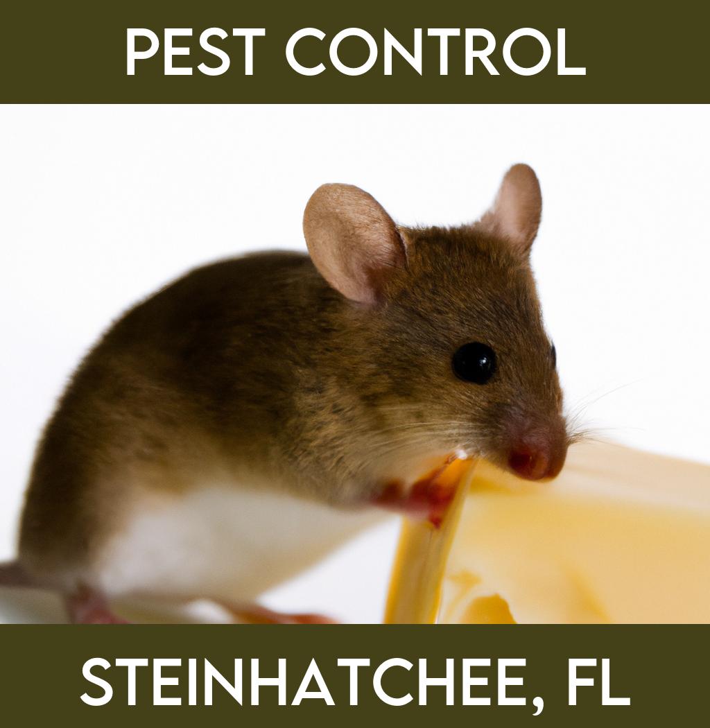 pest control in Steinhatchee Florida