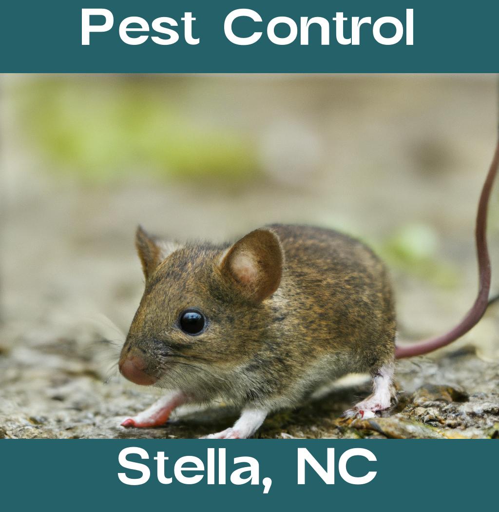pest control in Stella North Carolina