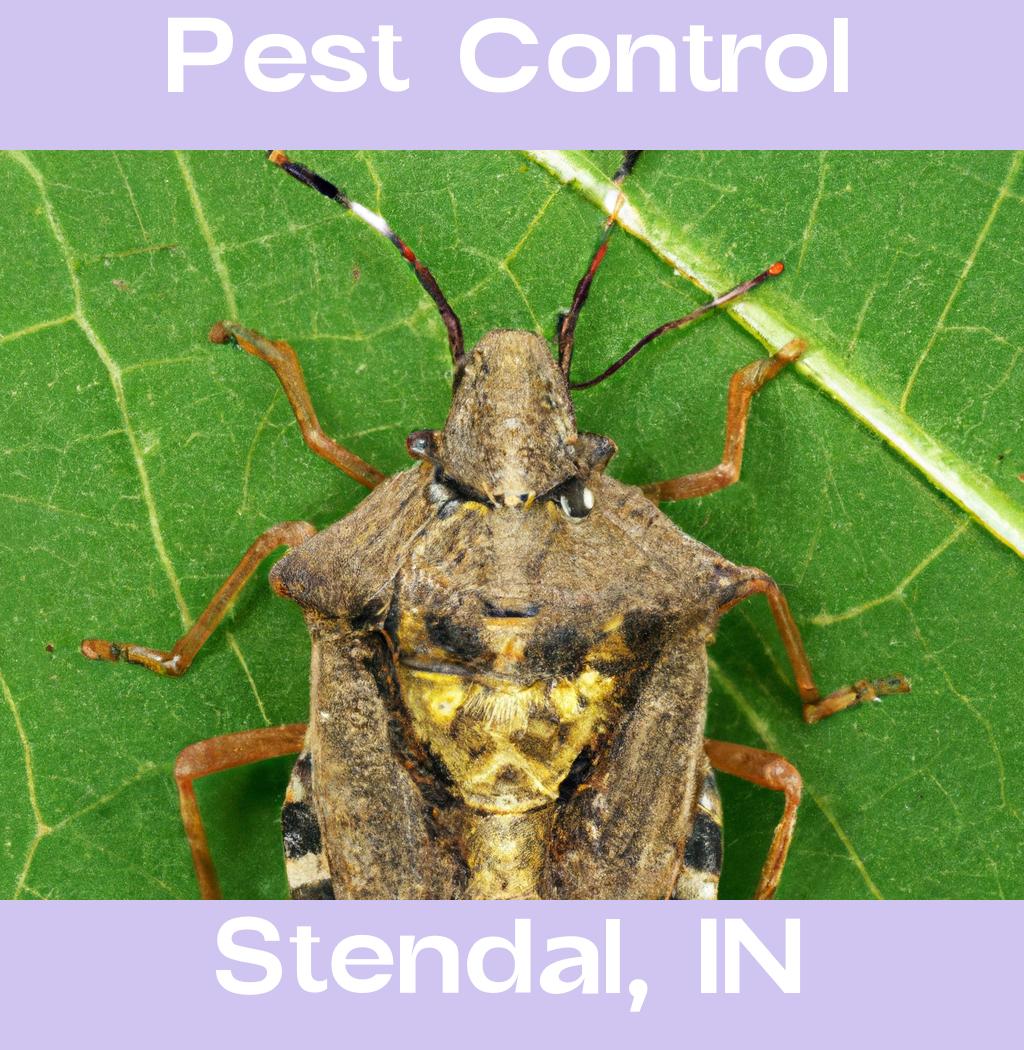 pest control in Stendal Indiana