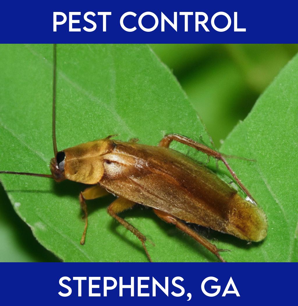 pest control in Stephens Georgia