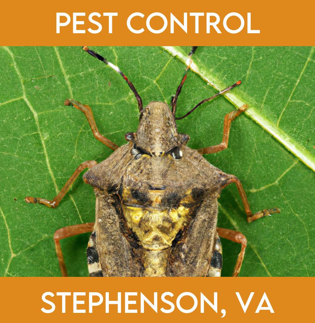 pest control in Stephenson Virginia