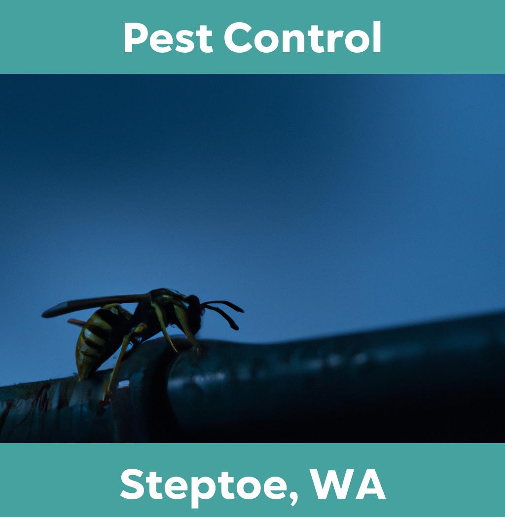 pest control in Steptoe Washington