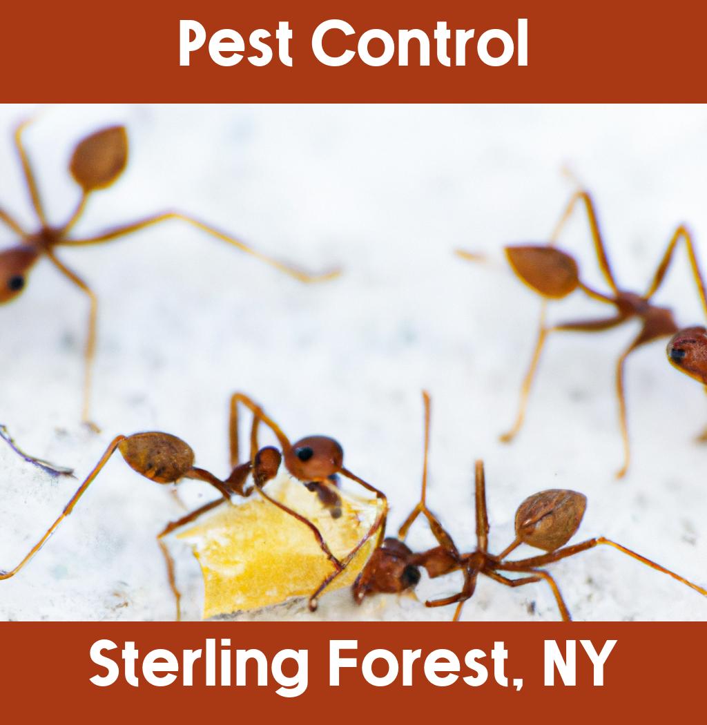 pest control in Sterling Forest New York