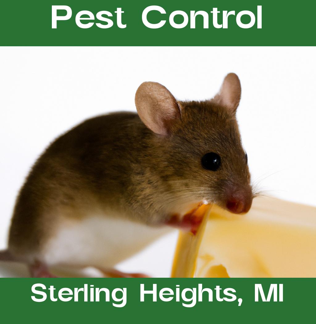 pest control in Sterling Heights Michigan
