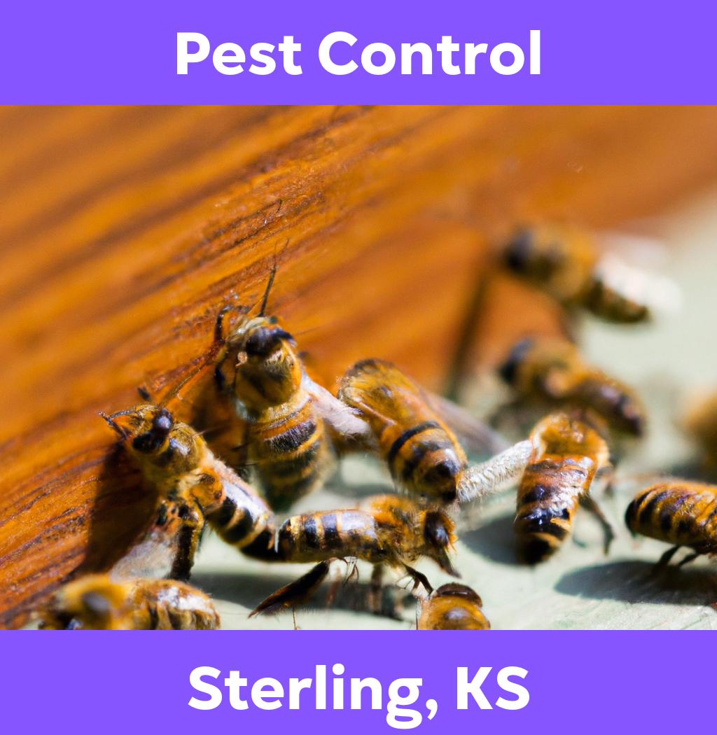 pest control in Sterling Kansas