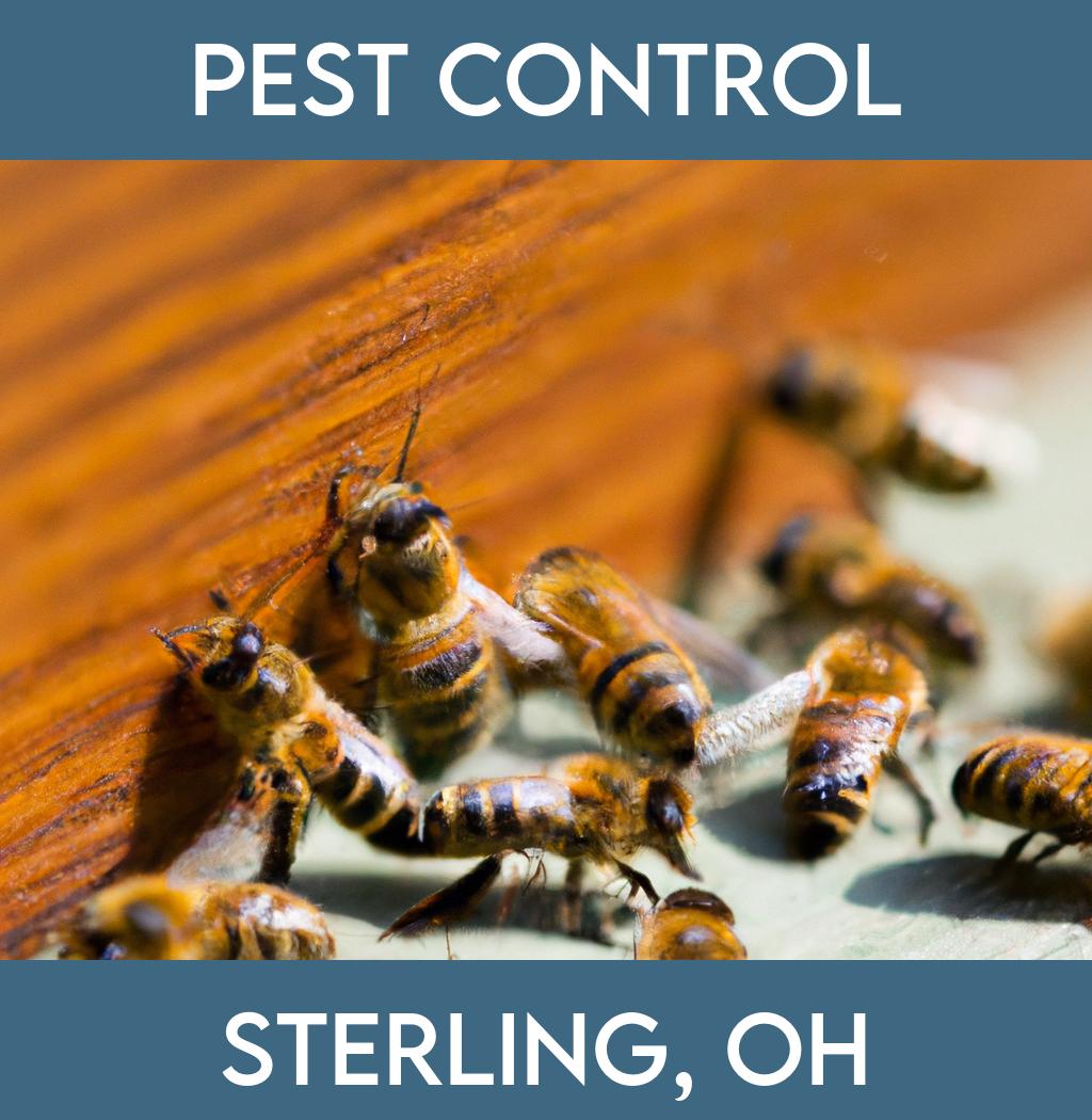 pest control in Sterling Ohio