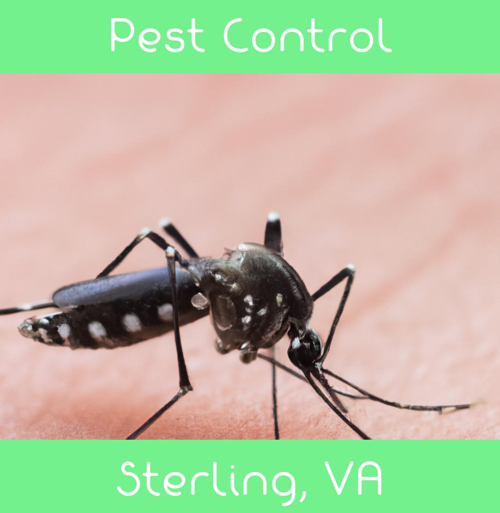 pest control in Sterling Virginia