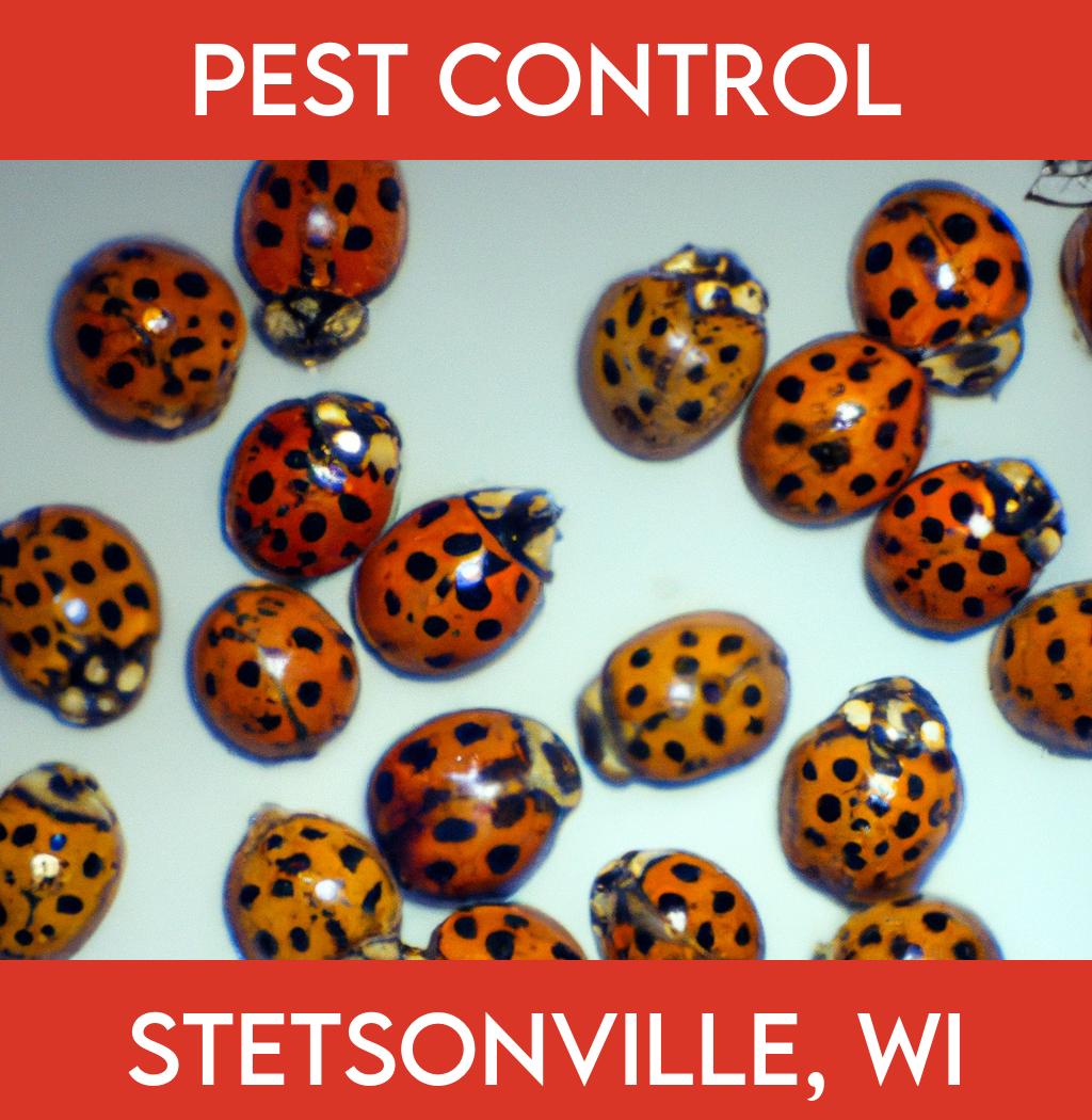 pest control in Stetsonville Wisconsin