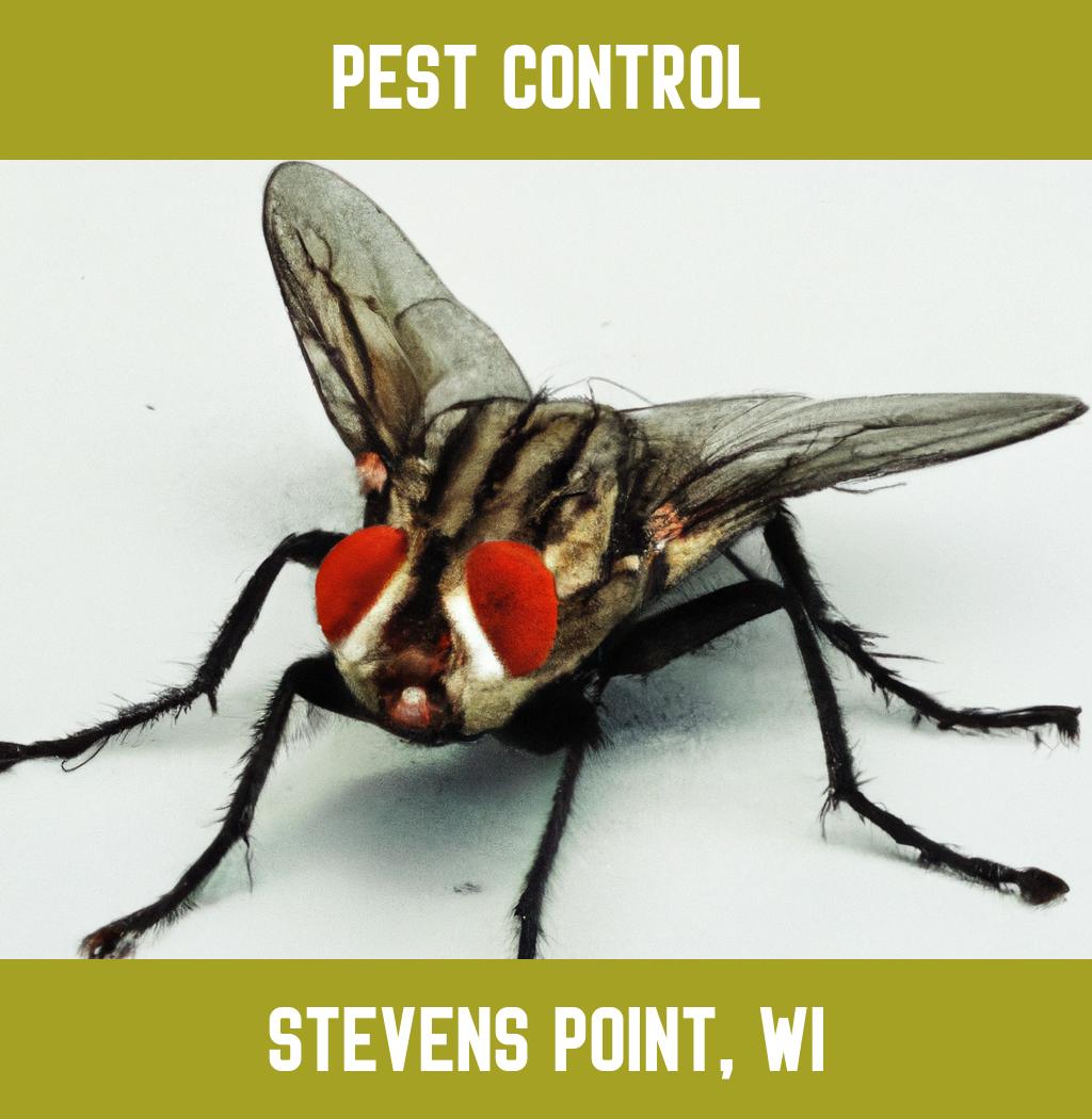 pest control in Stevens Point Wisconsin
