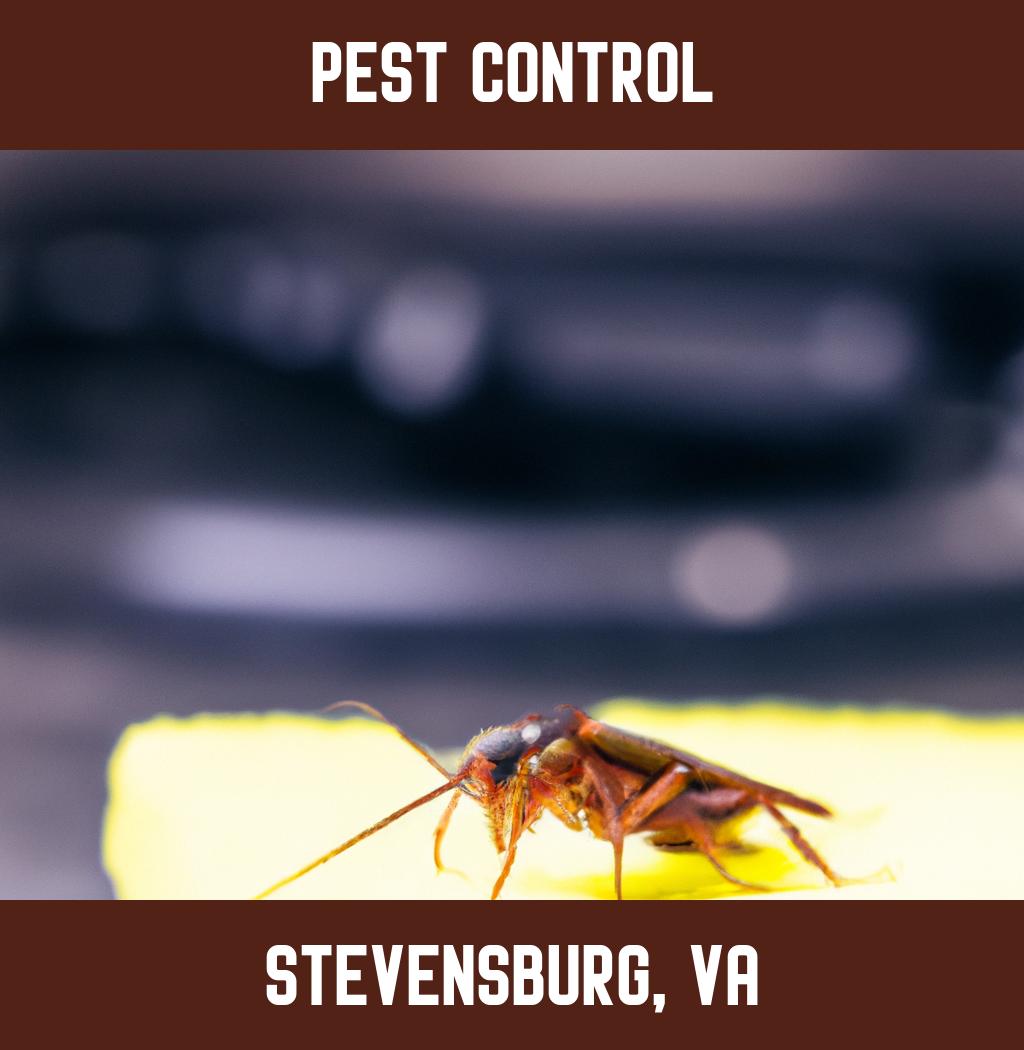 pest control in Stevensburg Virginia