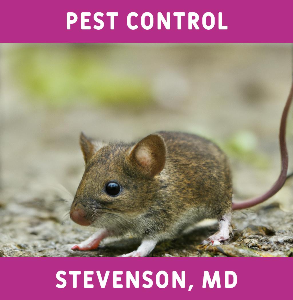 pest control in Stevenson Maryland