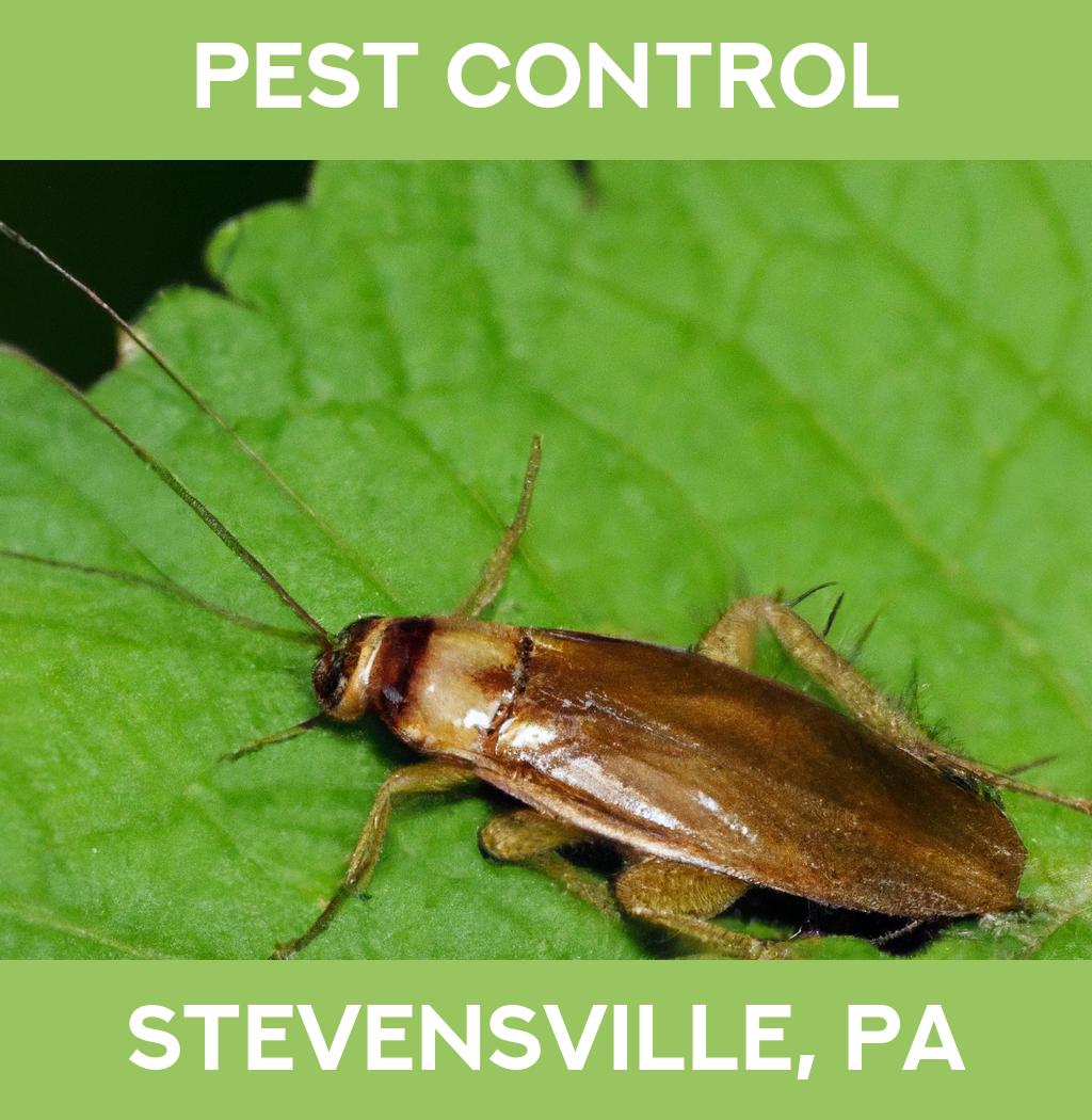 pest control in Stevensville Pennsylvania