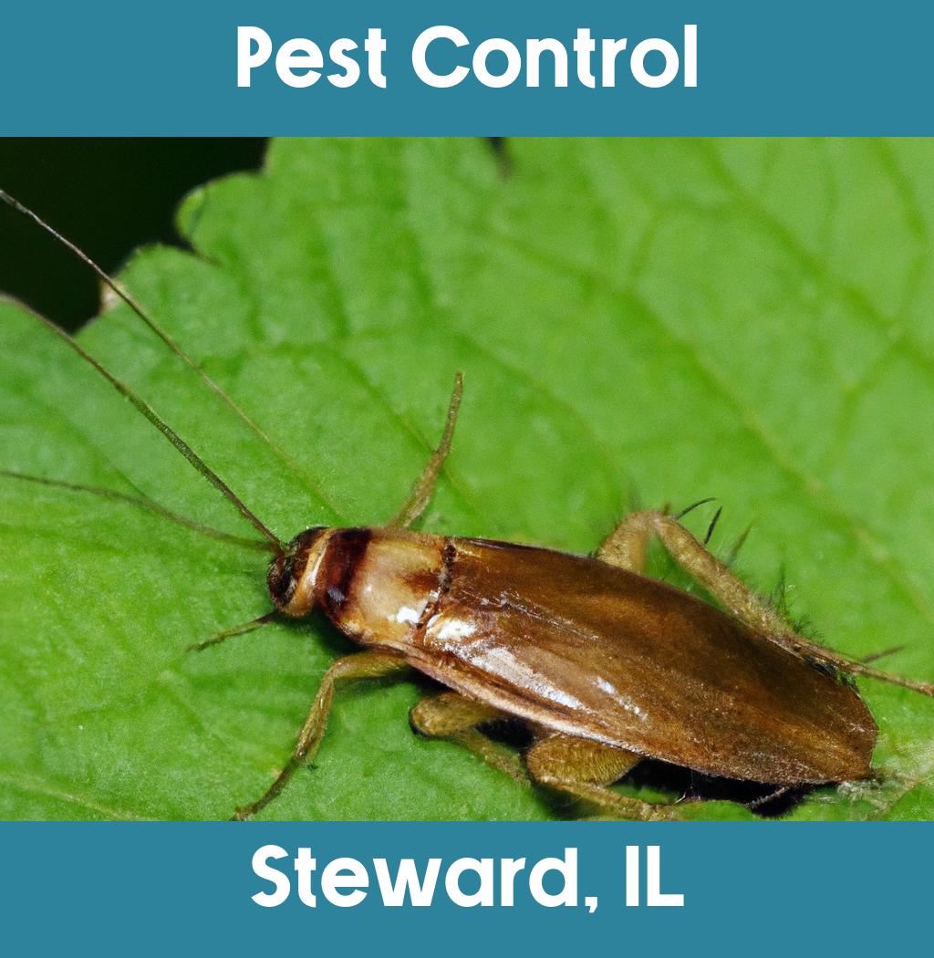 pest control in Steward Illinois