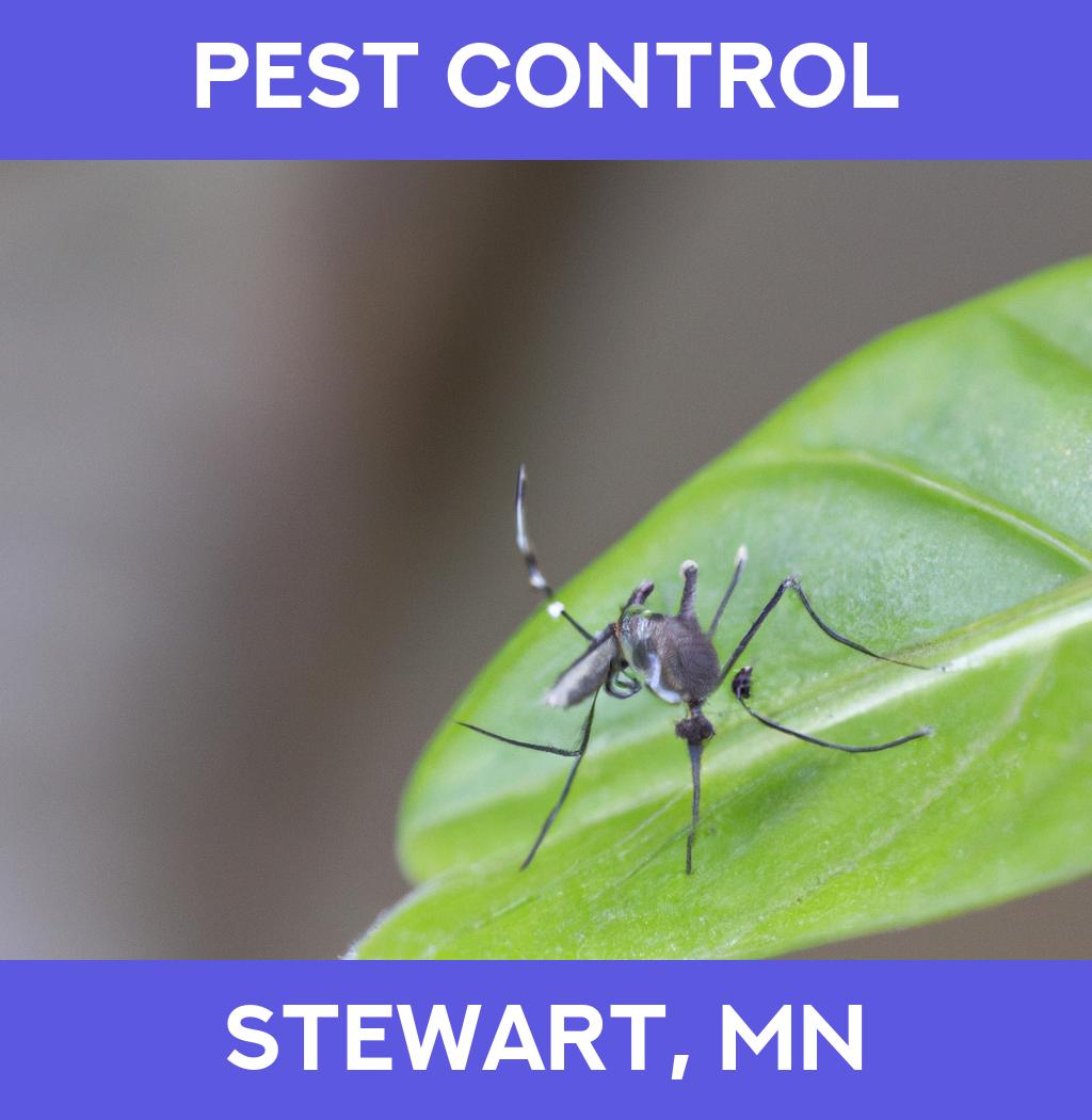 pest control in Stewart Minnesota