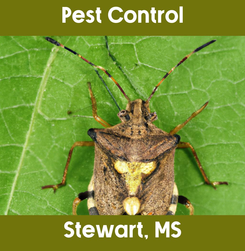 pest control in Stewart Mississippi