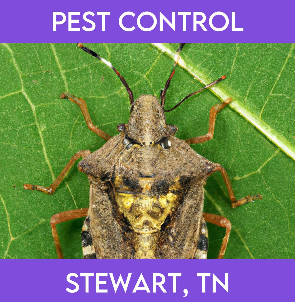 pest control in Stewart Tennessee