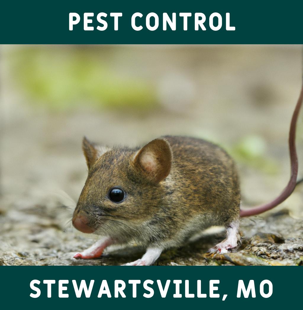 pest control in Stewartsville Missouri