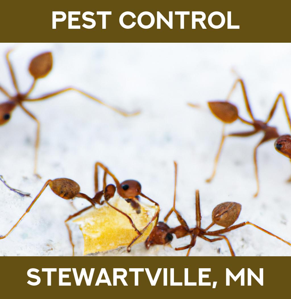 pest control in Stewartville Minnesota