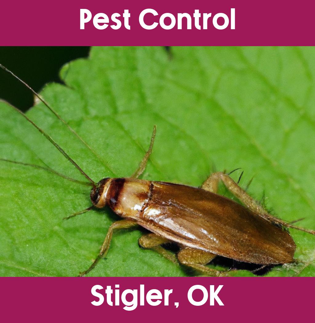 pest control in Stigler Oklahoma