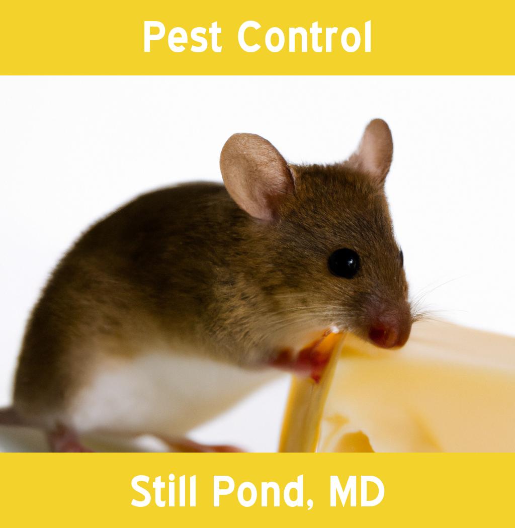 pest control in Still Pond Maryland