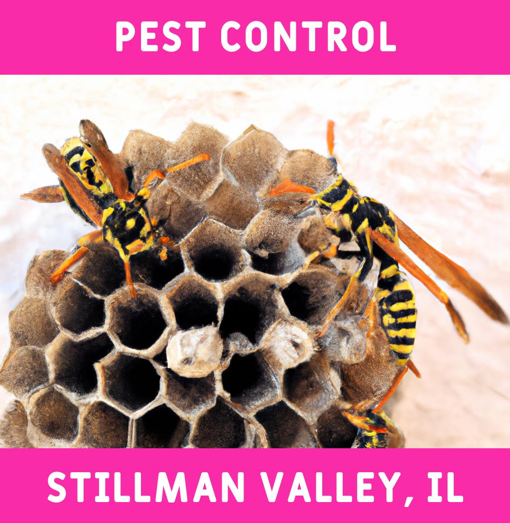 pest control in Stillman Valley Illinois