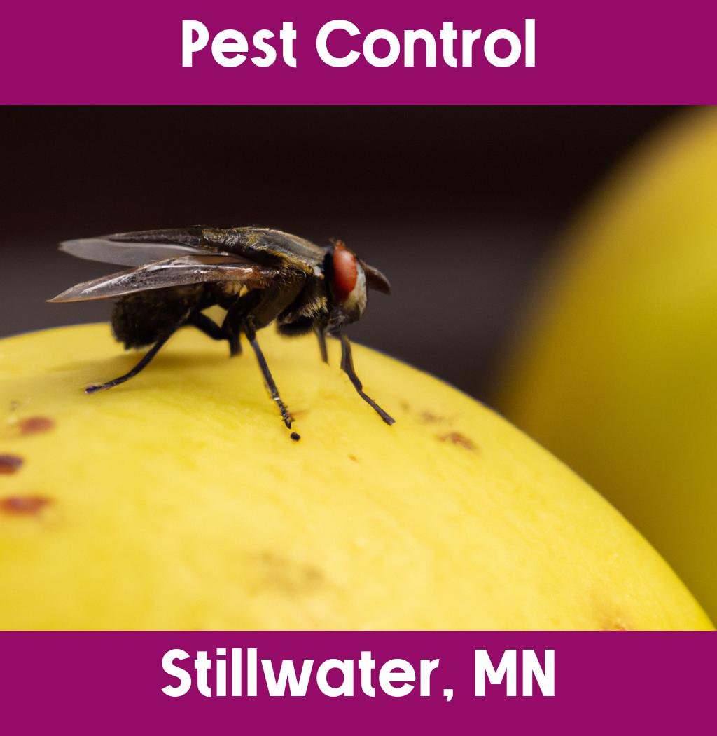 pest control in Stillwater Minnesota