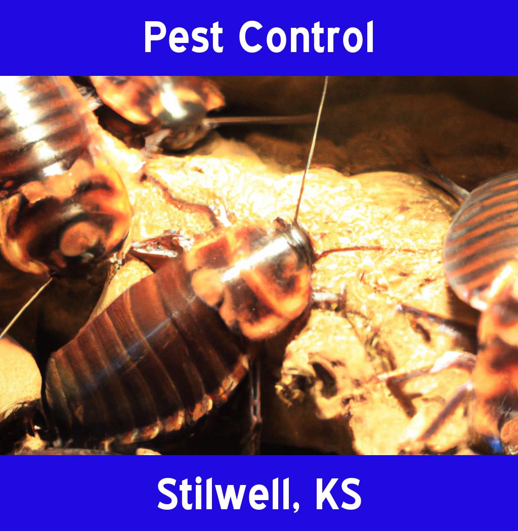 pest control in Stilwell Kansas