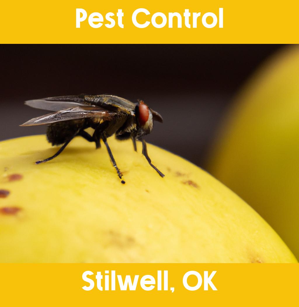 pest control in Stilwell Oklahoma