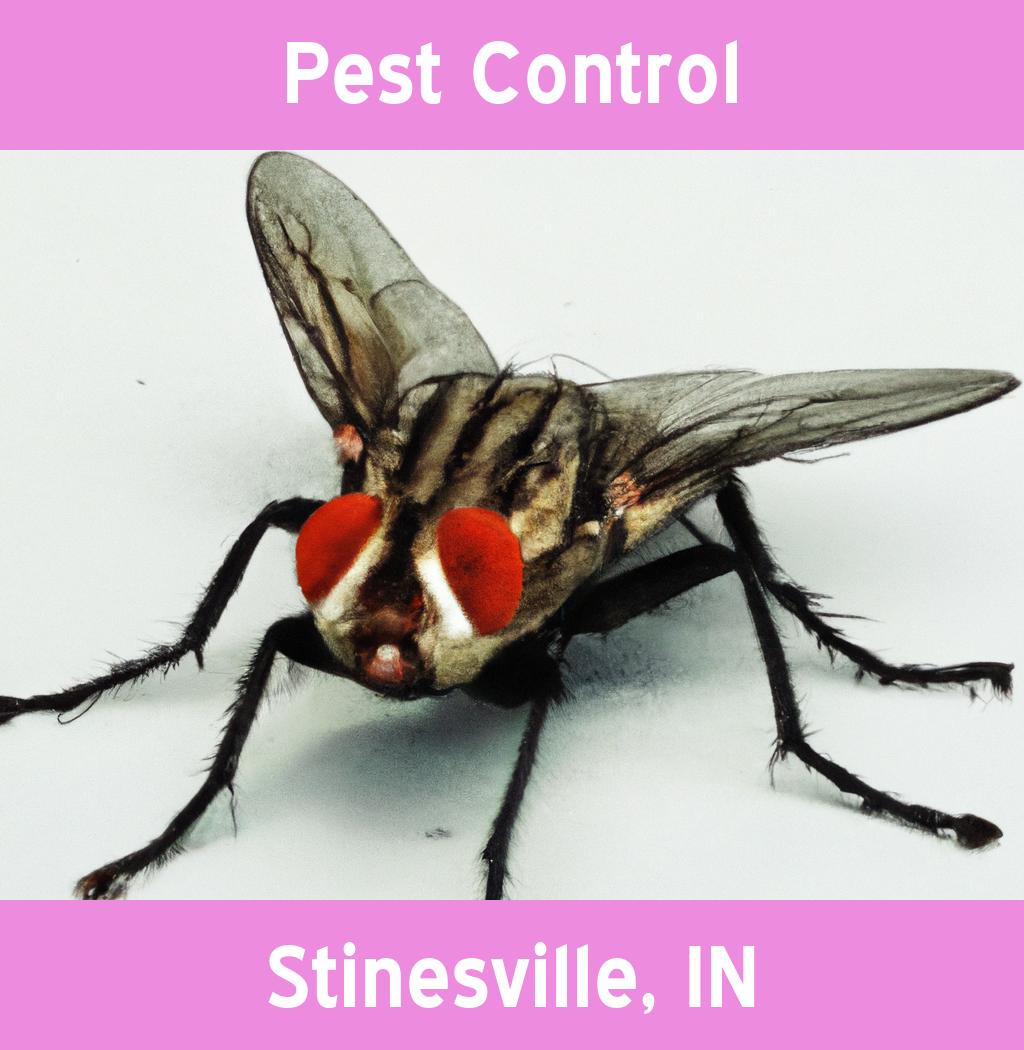 pest control in Stinesville Indiana